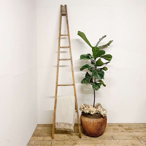 Rustic Vintage Ladder Decorative