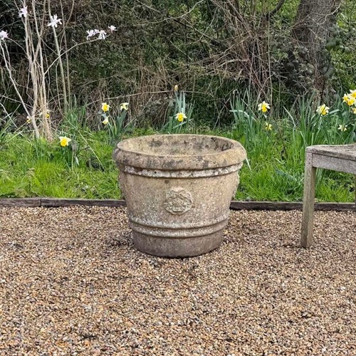 Tudor Rose Planter