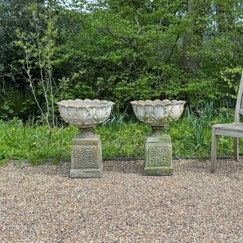 Pair of Small Acanthus Urns and Pedestals