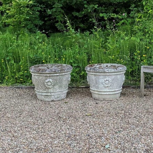 Pair of Large Rose Planters