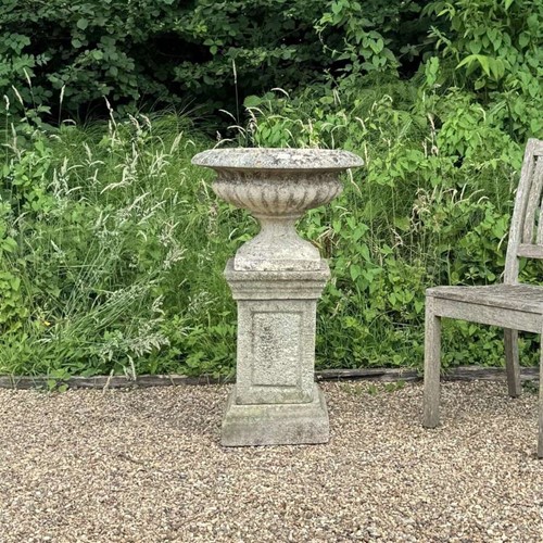 Small Tazza Urn and Pedestal