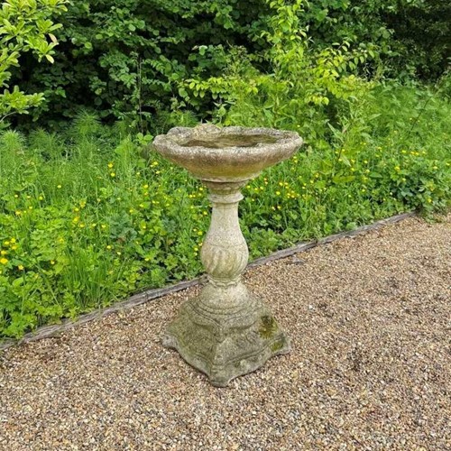 Shell Bird Bath