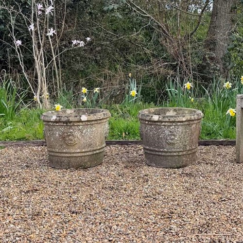 Pair of Tudor Rose Planters