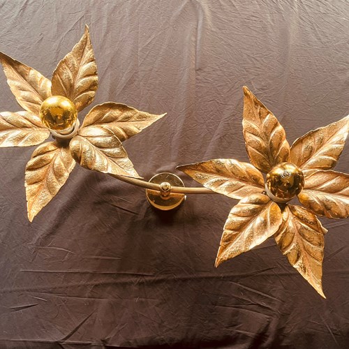 Wall Or Ceiling Light By Massive, Belgium