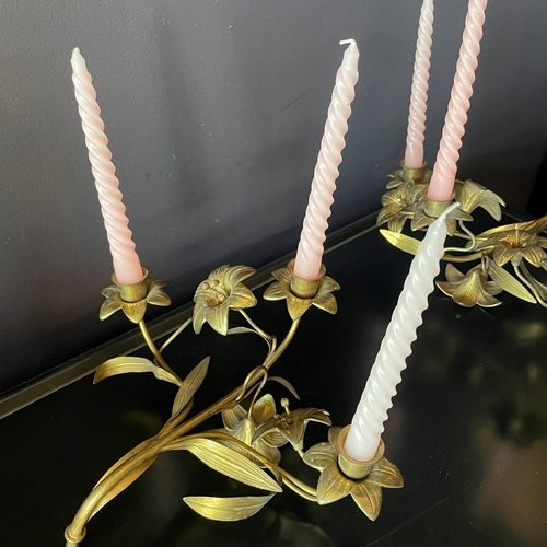 A Pair Of French Floral Candelabras 