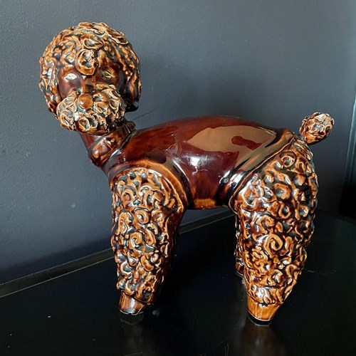 Vallauris Spaghetti Standard Poodle