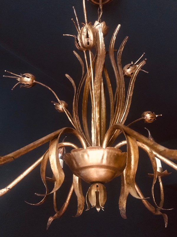 Large Naturalistic Spanish Chandelier, 1 Of A Pair-20th-century-filth-seed-pod-6-or-thumb-main-637655645551890064.jpg