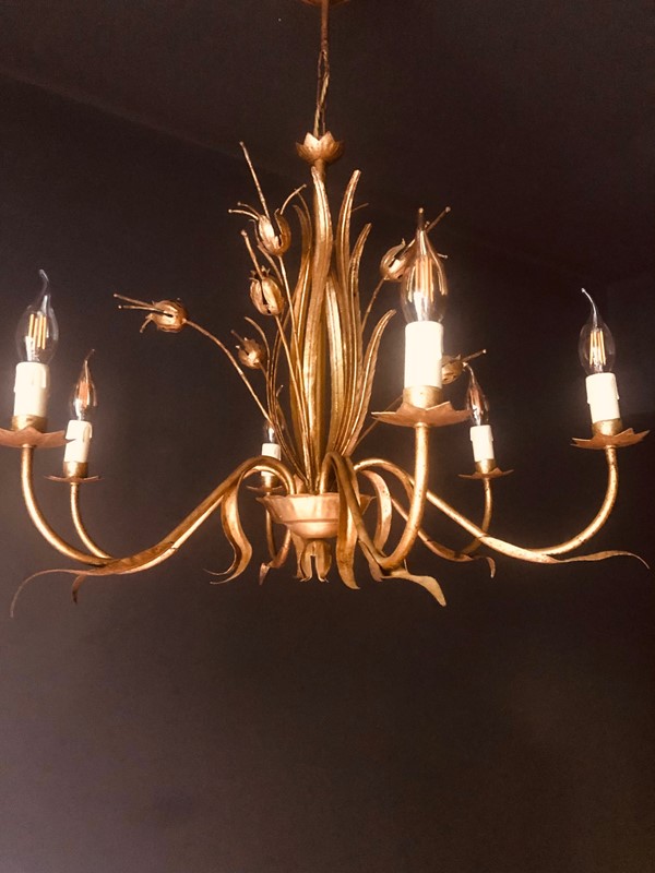 Large Naturalistic Spanish Chandelier, 1 Of A Pair-20th-century-filth-seed-pod-chand-thumb-main-637655645257047728.jpg