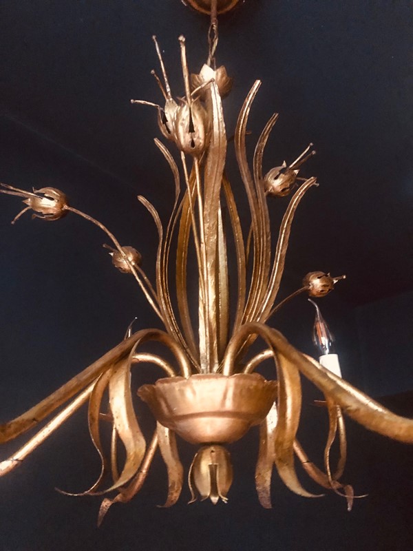 Large Naturalistic Spanish Chandelier, 1 Of A Pair-20th-century-filth-seed-pod-chandelier-1-main-637655645608921346.jpg