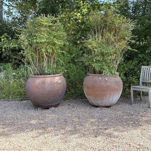 Very Large Earthenware Planters