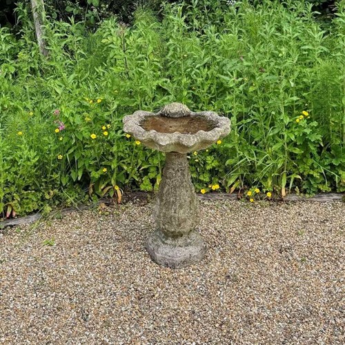 Shell Bird Bath