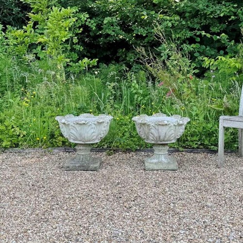 Pair of Acanthus Urns