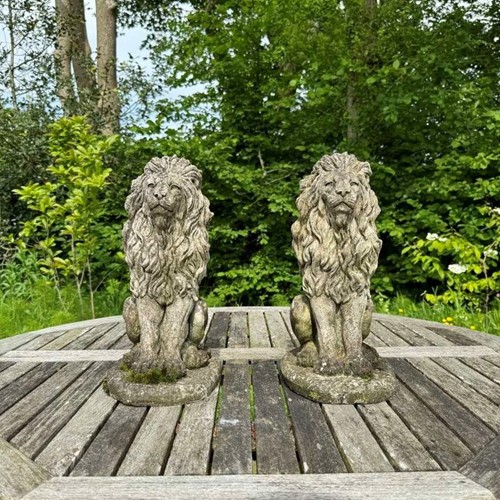 Pair of Small Patinated Lions