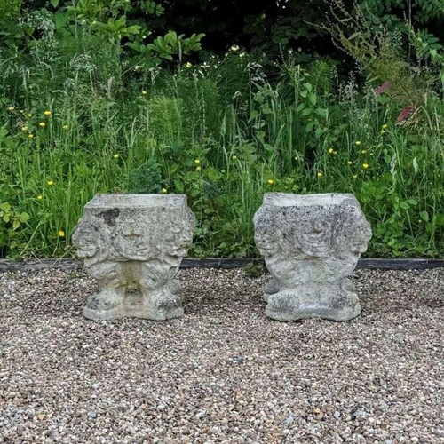 Pair of Weathered Lion Planters