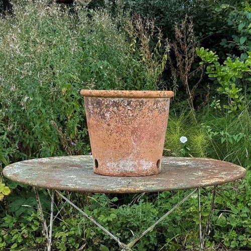 Large Antique Flower Pot