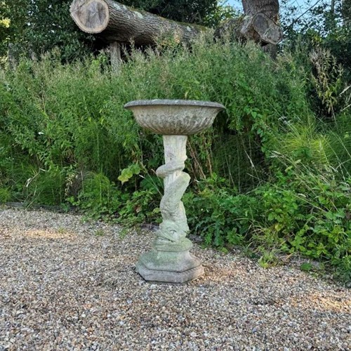Dolphin Bird Bath