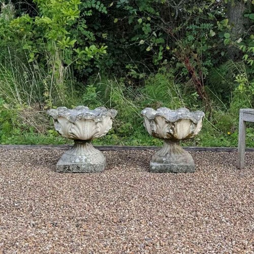 Pair of Weathered Acanthus Urns