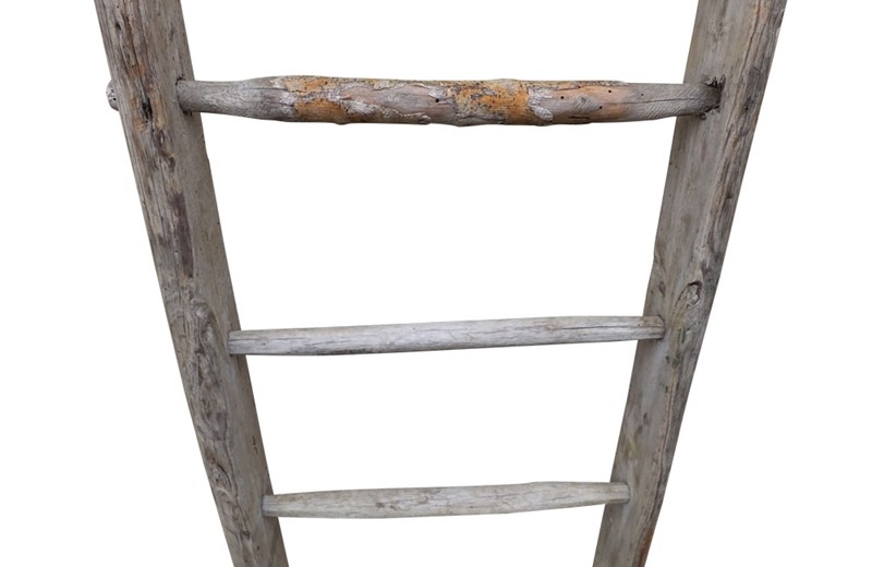 Very Tall French Orchard Ladder-ad-ps-3737-2-main-638106952728248833.jpg