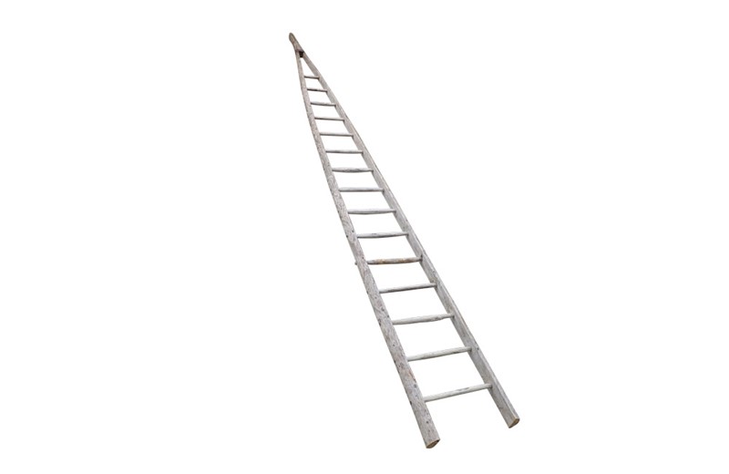 Very Tall French Orchard Ladder-ad-ps-3737-3-main-638106952721842596.jpg