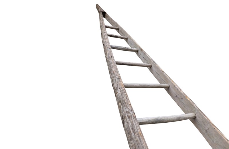 Very Tall French Orchard Ladder-ad-ps-3737-6-main-638106952705436650.jpg