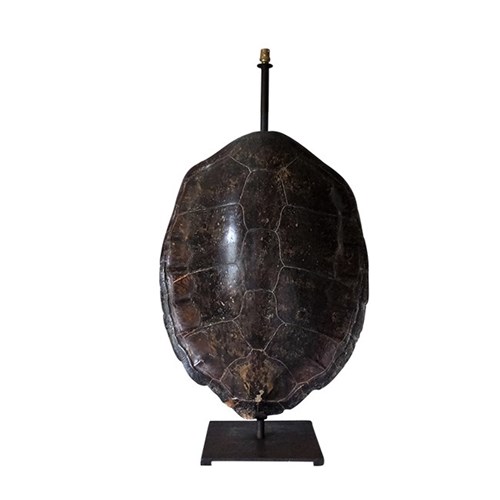 Large Turtle Shell Table Lamp