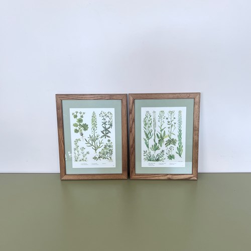 Floral Prints, Newly Framed