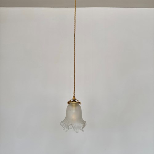 Frosted Floral Glass Shade