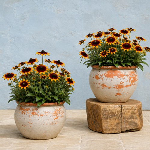 Terracotta Planters Painted & Worn Pair Old Vintage Flower Pots Hand Thrown Pot