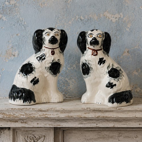Staffordshire Dogs Pair Of Antique Black & White Spaniels  Pottery Dog Figures