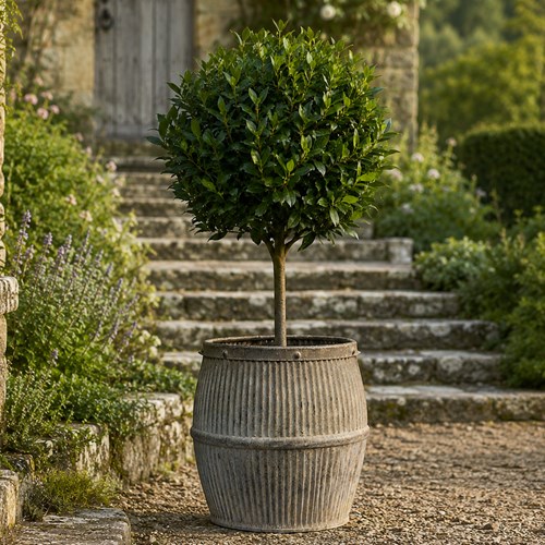 Dolly Tub Watertight Antique Garden Galvanised Planter Trough Water Butt Bath