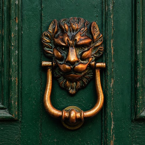 Lion Head Door Knocker Reclaimed Brass Door Knocker Old No.10 Style Door Knocker