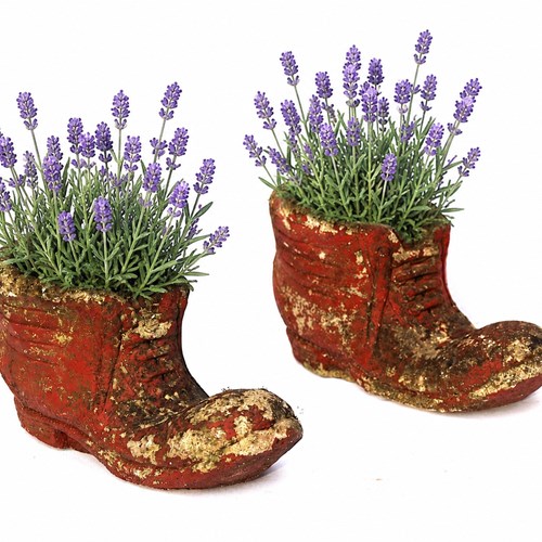 Garden Boot Planter Old Vintage Pair Of Shoe Shop Flower Pot Trough Welly Clothe