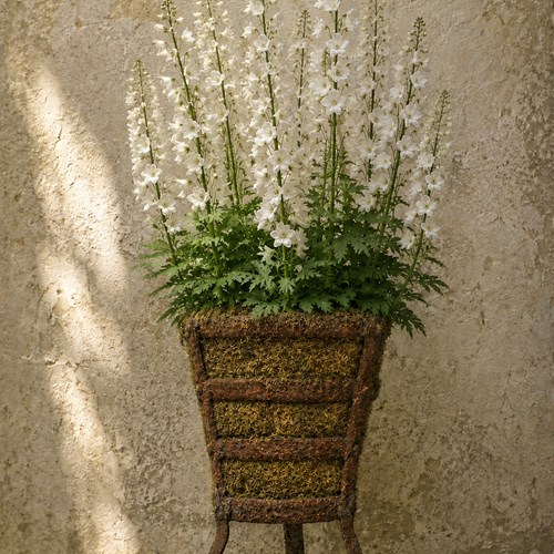 Orchard Brazier Victorian Wrought Iron Fire Basket Garden Fire Pit Old Planter