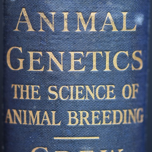 1925 Animal Genetics F.A.E.Crew Antique Book Old Vintage Printing Print