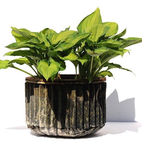 Ribbed Metal Planter Old Vintage Planter Antique Garden Flower Pot Industrial