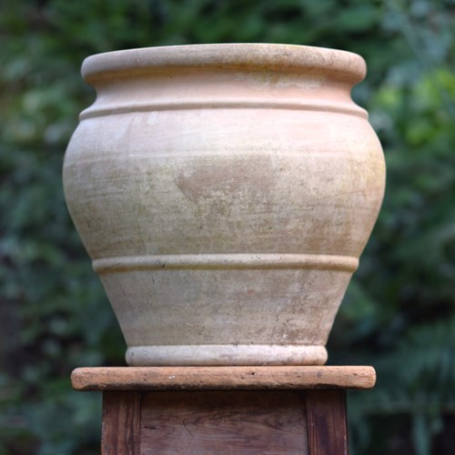 Buff Terracotta Planter Reclaimed Plant Pot Clay Flower Pot Vintage Garden