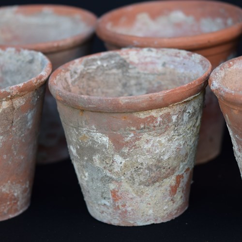8 Antique Pots Heavily Patinated 5" Terracotta Garden Vintage Flower Planters