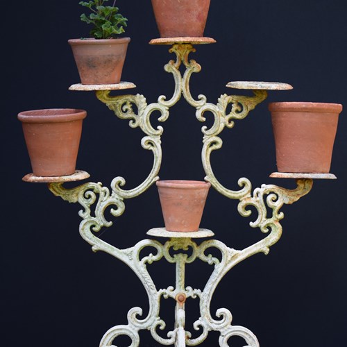 19Th Century Cast Iron Plant Stand | Flower Display | Antique Garden Stand