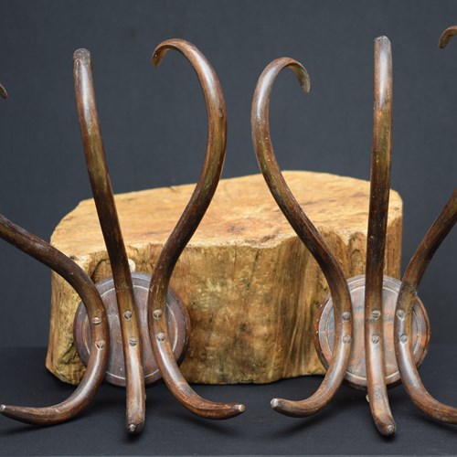 Bentwood Coat Racks