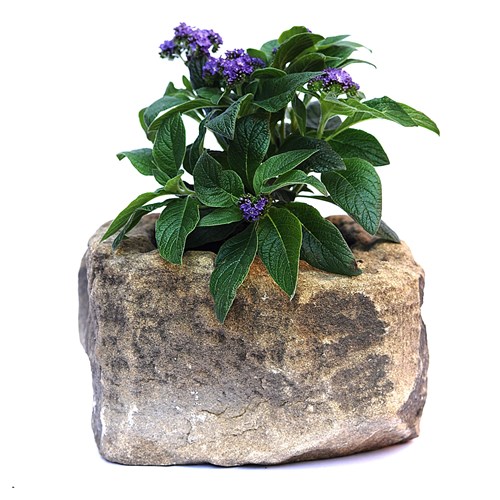 Small Stone Trough Hand Hewn Garden Flower Planter Pot Urn Plant Pot