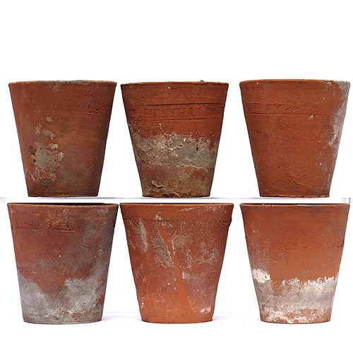 Auricula Pots X 6 | Antique Garden | Hand Thrown Planter | Terracotta | Vintage