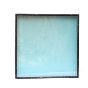 Specimen Case Frame 19Th Century Co...