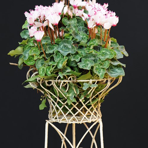 Regency Wire Work Plant Stand Antique 19Th Century Georgian Wirework Plant Stand