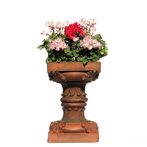 Terracotta Urn 19Th Century Antique Planter Victorian Flower Garden Square Old