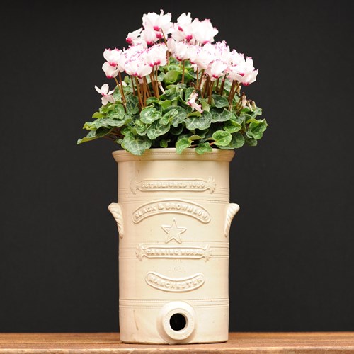 Planter 19Th Century Water Filter Plant Pot Stand Antique Garden Flower Trough