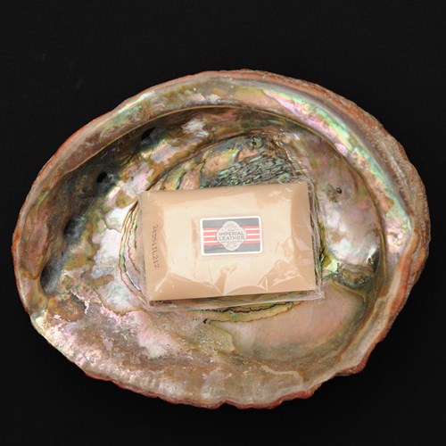 Giant Abalone Shell Old Vintage Seashell Soap Dish Bathroom Bath Container Bowl