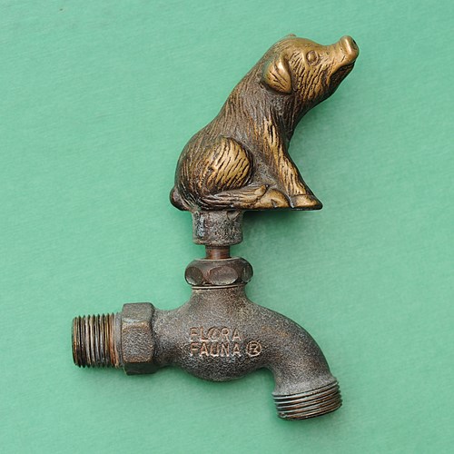 Garden Tap | Pig