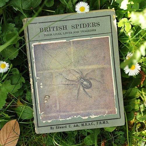 British Spiders Book 1920 Edward.C.Ash Nature Lover Library Volume 19 