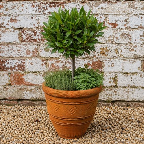 17" Terracotta Planter Plant Pot Clay Flower Pots Old Garden Planter Large Pot