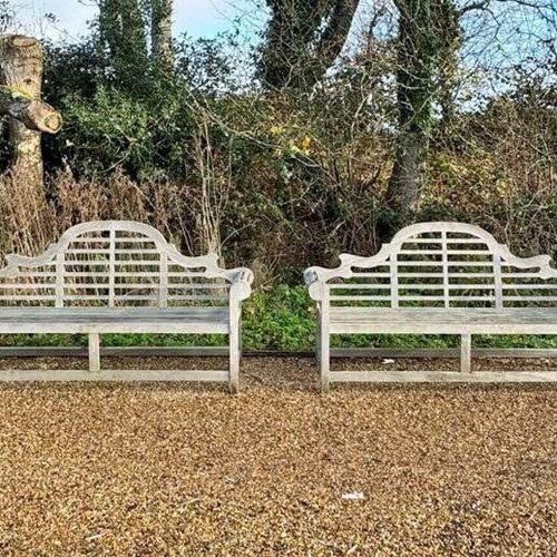 Long Silvered Luteyn Benches